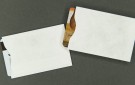 Plain White Card Sleeve - Tyvek® - For 2 Cards